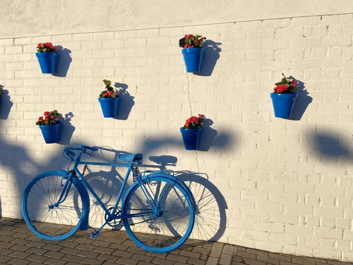 Bicicleta azul apoyada en una pared blanca con macetas azules